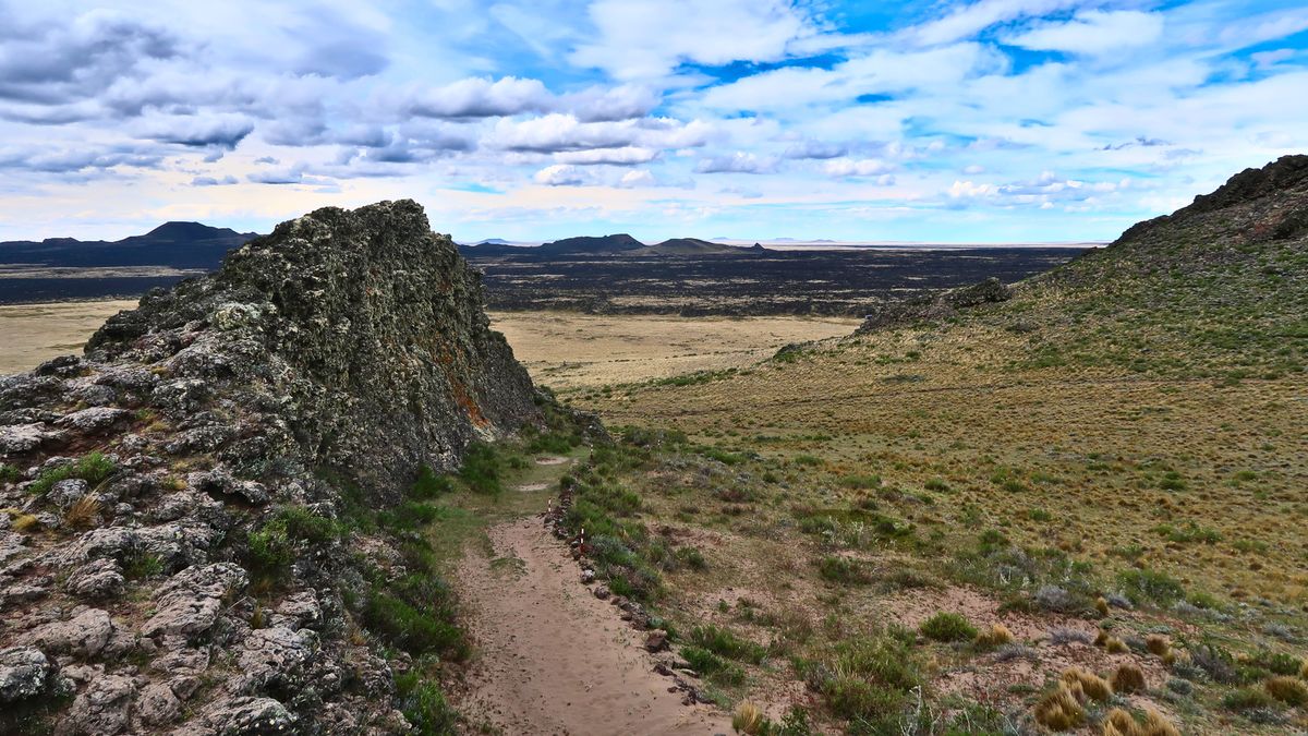 Los Volcanes y los Animales