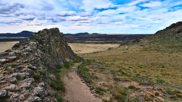 Los Volcanes y los Animales